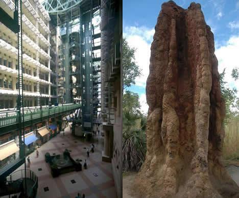 Imitons la nature pour innover!