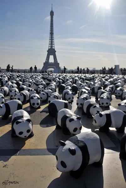 pêle-mêle: angles morts des camions, Rachida Dati, WWF, Sans-Papiers.