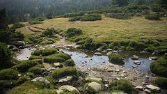 La Cerdagne Ruisseau serpentant joyeusement