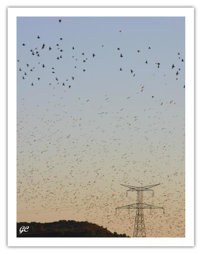 Le temps qui passe Le temps qui passe