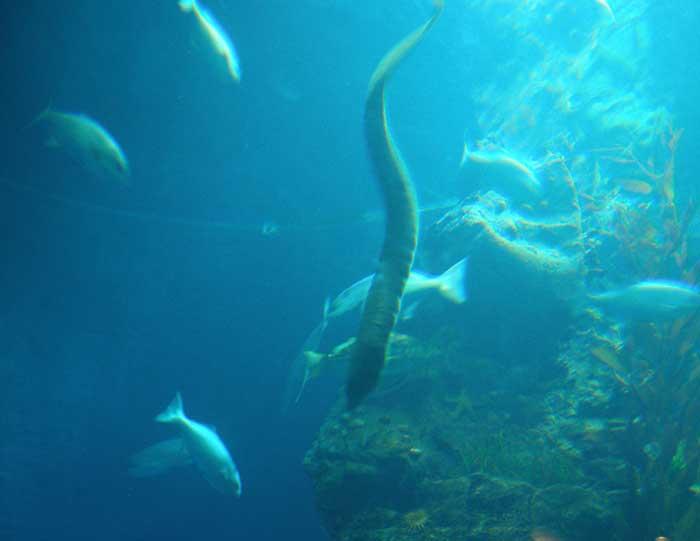 Recette barbare d'après Fifine Recette barbare d'après Fifine