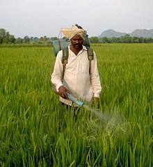 Les agriculteurs premières victimes des pesticides ? Les agriculteurs premières victimes des pesticides ?