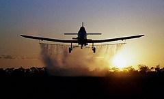 Les agriculteurs premières victimes des pesticides ? Les agriculteurs premières victimes des pesticides ?