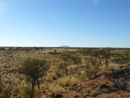 Australie #33 : Uluru #6 : Au loin ... Australie : Monts Olgas : Kata Tjuta #3
