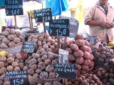 Les 4 p : Padan la suite, papas andinas, Pisco et Pérou