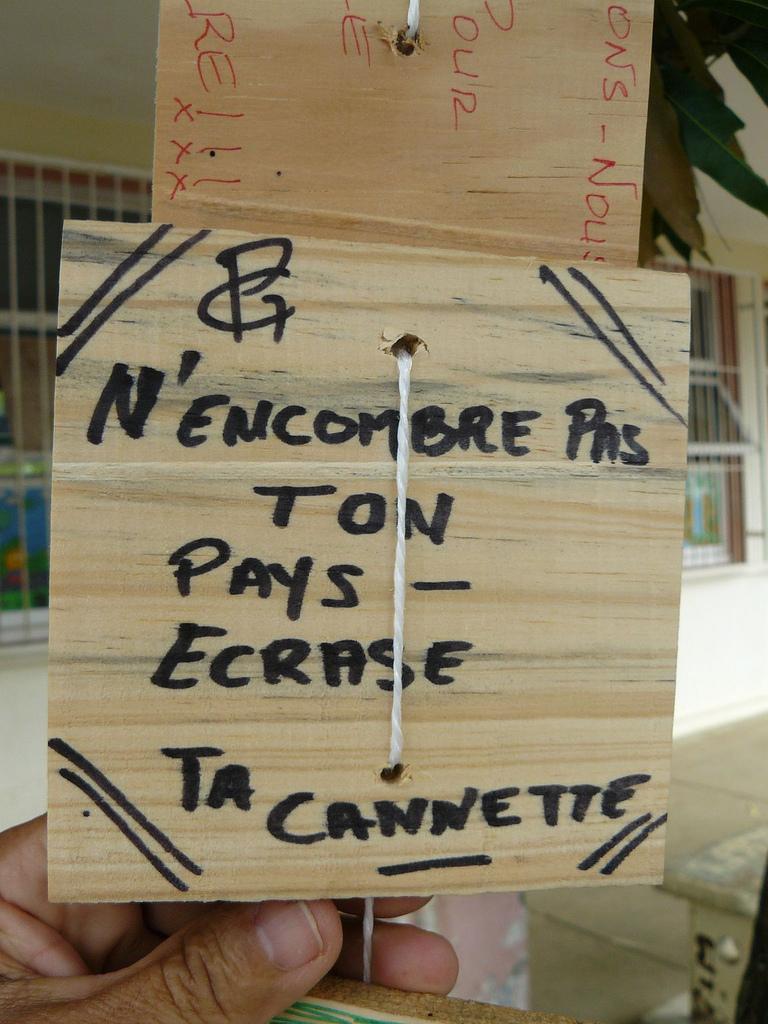 Journee environnement ALP 2008 (24)
