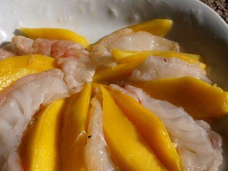 Gambas & Mangue en PA241129