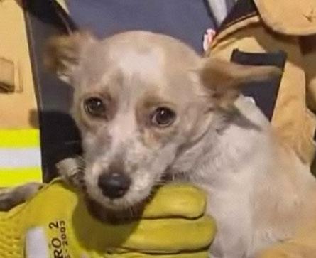 La guidoune du jour!