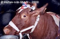 Marianne, juil 2008 Marianne