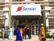 Pour faire face à ses difficultés chroniques : La Senelec cherche lumière dans la privatisation
