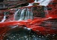 Le rouge dans la nature : parfois trouvé où on ne l'attend pas Chutes d'eau et rochers riches en fer au Alberta's Waterton Lakes National Park, Canada