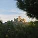 Collioure Fort Saint Elme