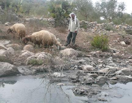 La Bourse ou la planète. Blue Beam. Démocratie génétiquement modifiée Berger palestinien, en Cisjordanie. De nombreuses sources d'eau sont polluées par le rejet des eaux usées.(Photo : Karim Lebhour/RFI)