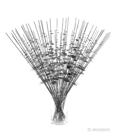 Plantes design by Alex Davis Plantes design by Alex Davis