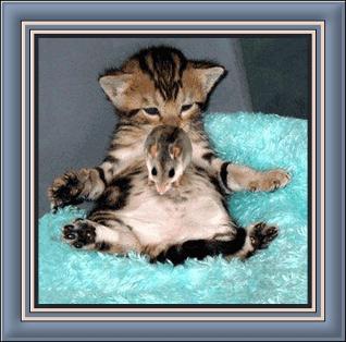 Resultat de la psychanalyse de comptoire... Resultat de la psychanalyse de comptoire...