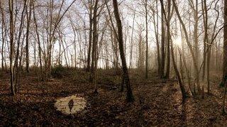 Land-Art, quiétude poétique