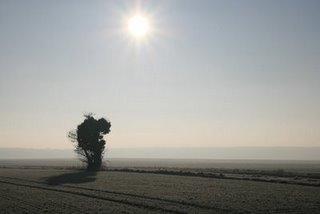 Land-Art, quiétude poétique