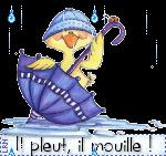 Gateau cocotte aux pommes
