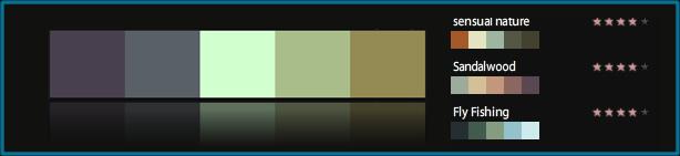 8 outils pour bien choisir les couleurs de son site 8 outils pour bien choisir les couleurs de son site