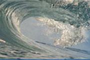 Exercice de simulation de tsunami par plus de 20 pays riverains du Pacifique