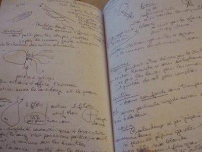 Des couteaux, planches à découper et verrière