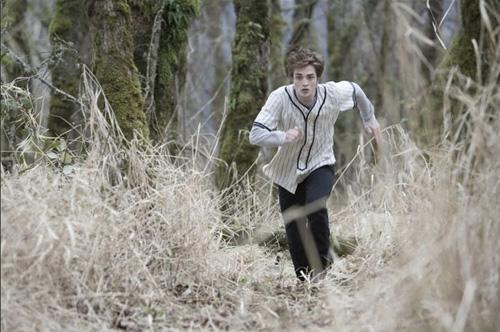 Twilight