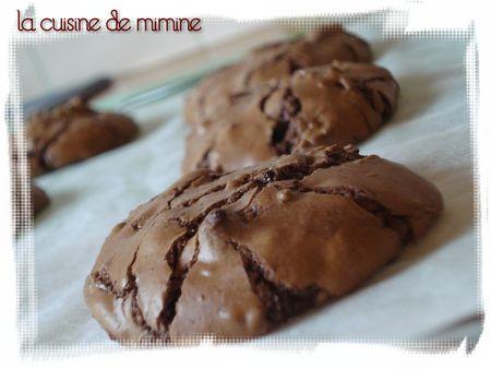 Cookies décadents double chocolat et noix, Envie de saliver un peu ? Cliquez ! DSC01292