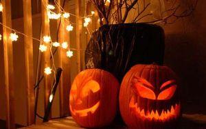 Dans nos jardins, la nuit ... halloween