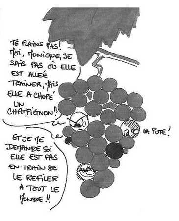 Recommandable 31_10_2008_22_09_03