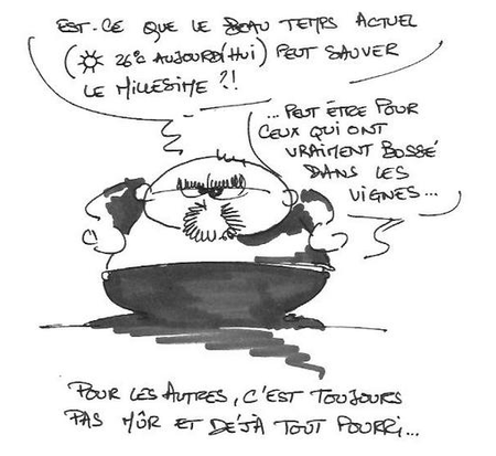 Recommandable 31_10_2008_22_20_46