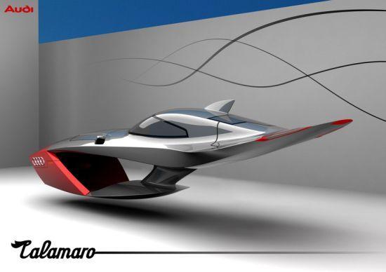 Audi Calamaro.  Nouveau Concept de vol automatique.