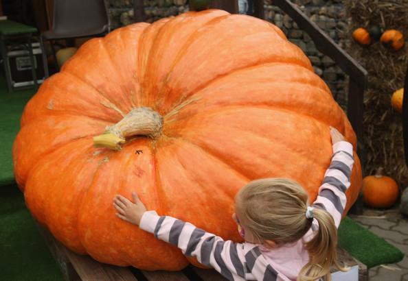 Halloween 2008 Halloween 2008