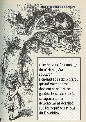 cheshire cat un chien a-t-il la nature de Bouddha ?