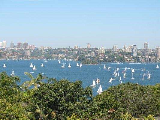 Le zoo de Sydney Le zoo de Sydney