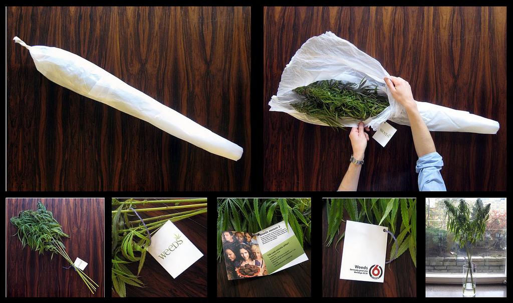 2998443723_59d18f106c_b