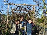 Les petits jardiniers