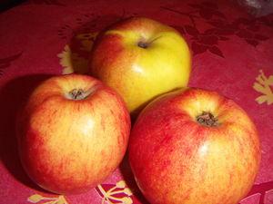 Mousse à la pomme et à la fleur d'oranger PICT0001