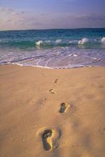Les Grecs encore à la plage ! Les Grecs encore à la plage