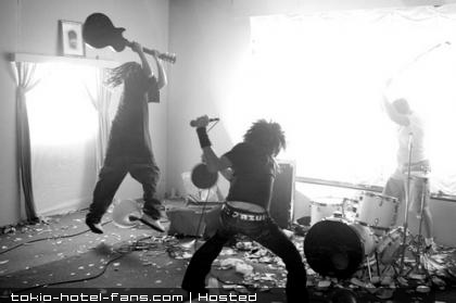 Photo 6093 Photo 6093