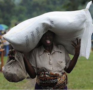 L'actualite des nrv iii clip_image002.jpg