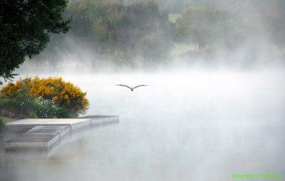 210° De l'usage de l'humour en politique.