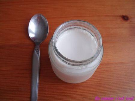 Mes premiers yaourts, à la cocotte minute Yaourt_nature