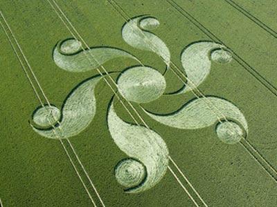 crop-circle crop-circle