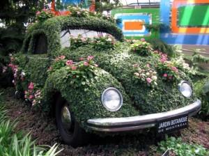 voiture-jardin