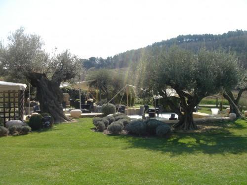 Un Brin De Lavande DSC04063.JPG