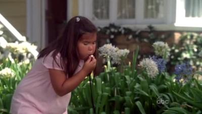 S5r3_Desperate_11.jpg, nov 2008 S5r3_Desperate_1.jpg