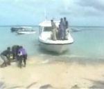 Quelques vidéos insolites (Vol 104) vidéo