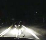 Quelques vidéos insolites (Vol 104) vidéo voiture police cerf