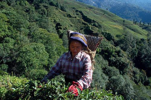 Je m’appelle Aishwariya, j’ai 37 ans…