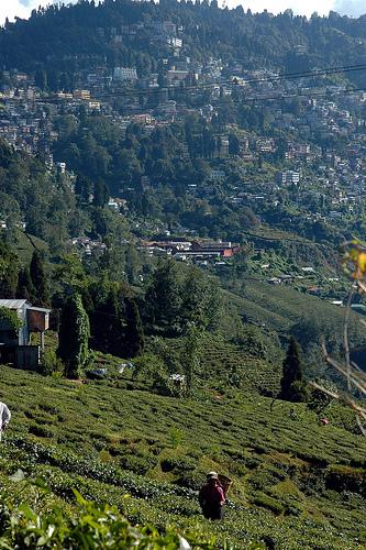 Je m’appelle Aishwariya, j’ai 37 ans…